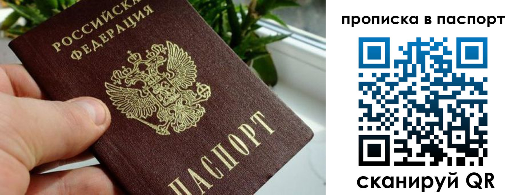 пропишу в квартире в Моршанске